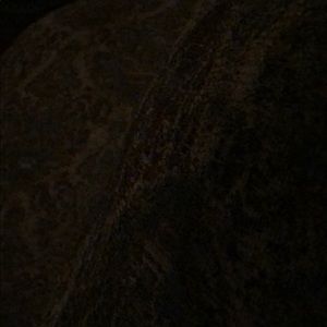 Meet your Posher, Kelli